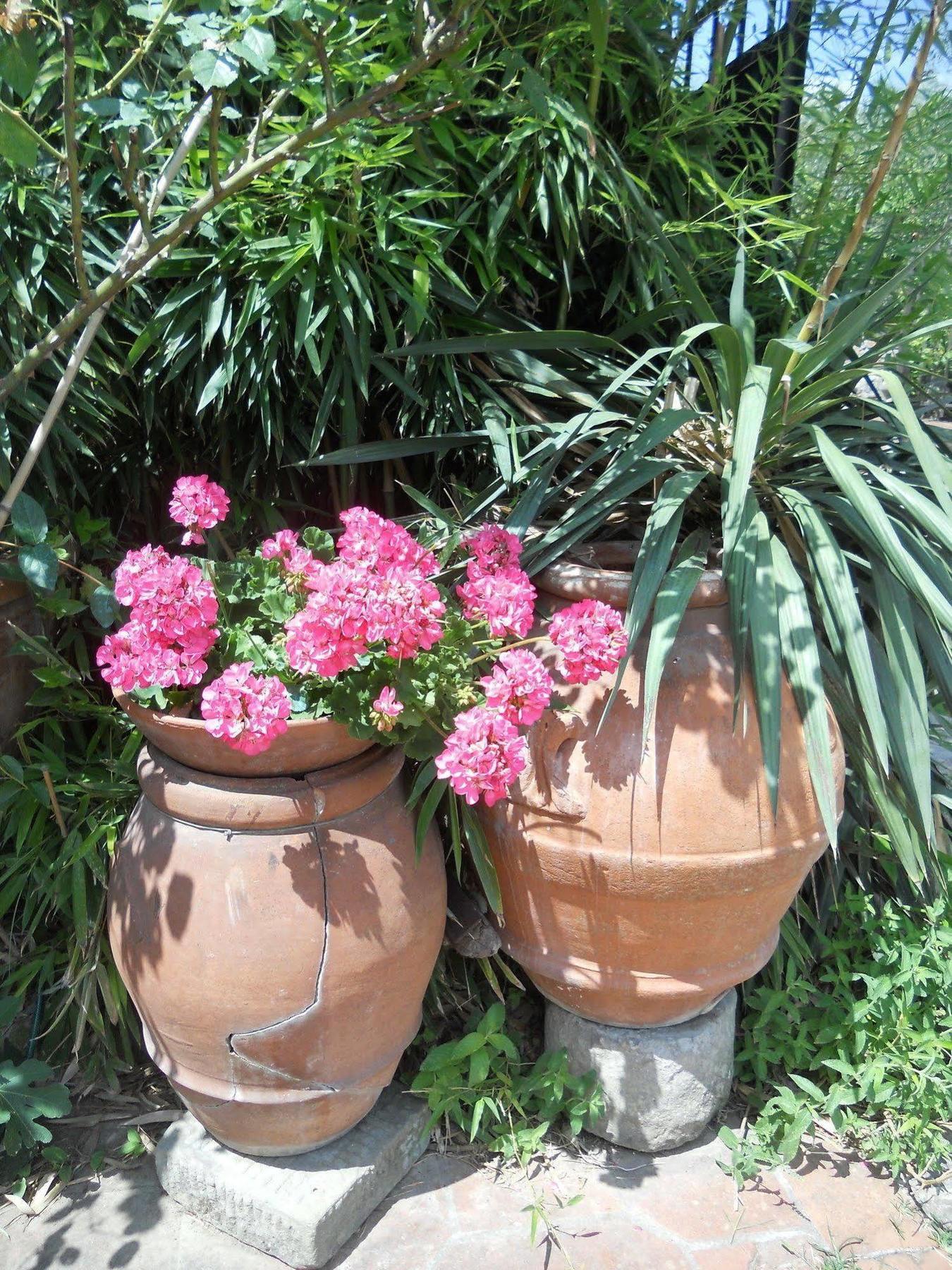Agriturismo Le Macine Florencja Zewnętrze zdjęcie