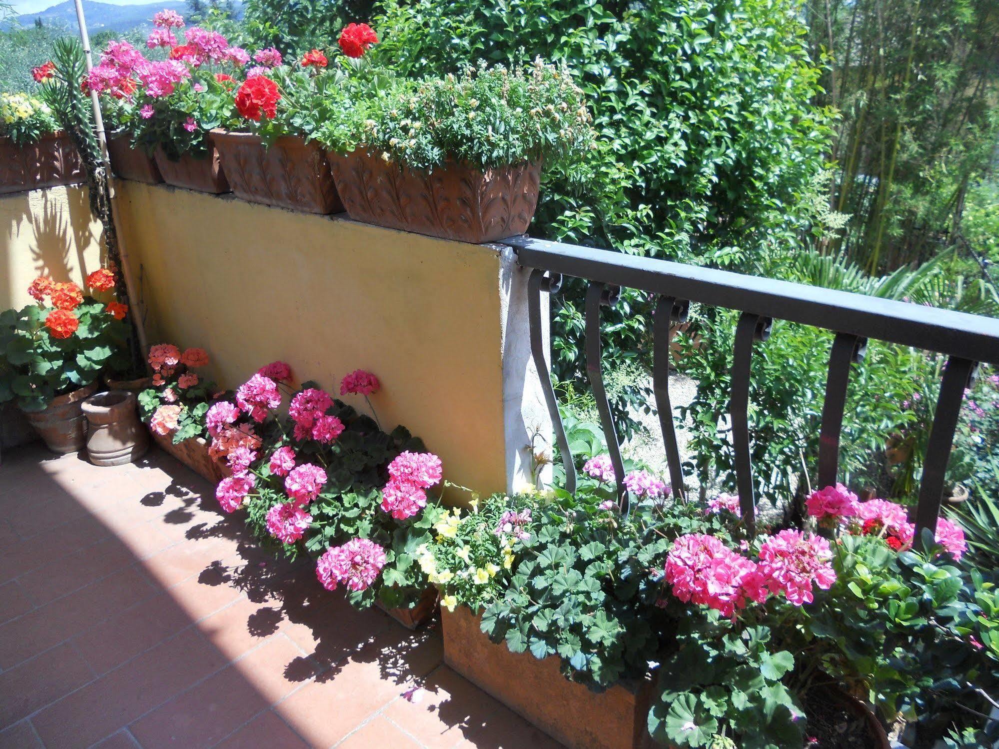 Agriturismo Le Macine Florencja Zewnętrze zdjęcie